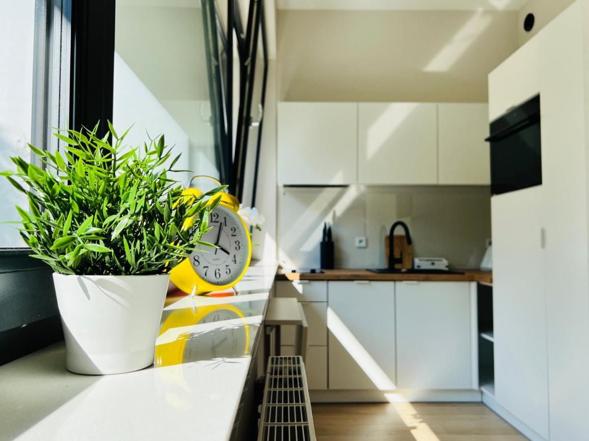 Cozystudio With Sauna คราคูฟ ภายนอก รูปภาพ